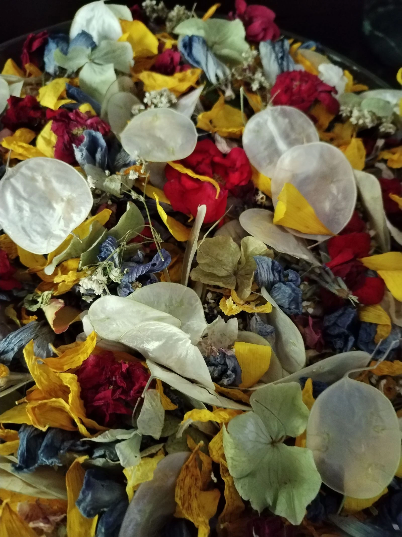 Gran cantidad de pétalos de flores secas y flores secas rústicas de mi jardín natural. – photo 9